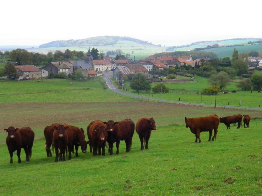Chambre D'Hotes La Ferme Du Vallon Moirey Luaran gambar